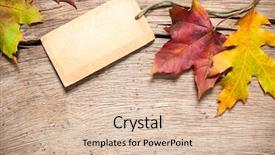  Presentation with maple leaves - PPT theme enhanced with market price - autumn or fall sale tag background and a lemonade colored foreground