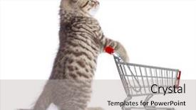  Presentation with veterinary - Cool new PPT theme with marketing veterinary - funny cat with shopping cart backdrop and a light gray colored foreground