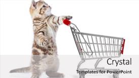  Presentation with cat - Beautiful presentation featuring marketing veterinary - funny cat with shopping cart backdrop and a light gray colored foreground