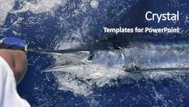  Presentation with sport blue - PPT theme featuring illustration of an elve background and a white colored foreground