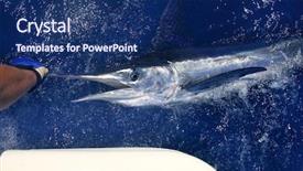  Presentation with sport blue - Cool new PPT theme with game sport fishing over blue backdrop and a navy blue colored foreground