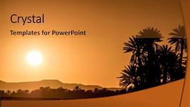  Presentation with palm - PPT layouts featuring the desert zagora morocco background and a gold colored foreground