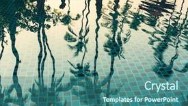  Presentation with tropical - PPT theme enhanced with marrakech - tropical palm trees reflection background and a ocean colored foreground