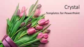  Presentation with tulips - Presentation theme consisting of marriage anniversary - bouquet pink tulips on lightpink background and a lemonade colored foreground