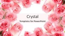  Presentation with framework - Presentation theme having marriage invitation - framework from roses isolation background and a lemonade colored foreground