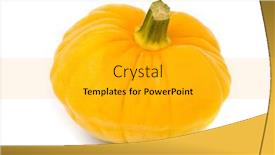  Presentation with studio - PPT layouts enhanced with marrow-on-a-white-studio background and a light gray colored foreground