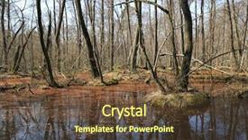  Presentation with forest marsh - PPT layouts having marsh in flooded forest background and a tawny brown colored foreground