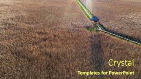  Presentation with wetland - Slide set enhanced with marshes-and-reeds-wetland background and a tawny brown colored foreground