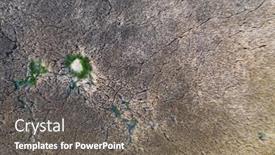  Presentation with wetland - Presentation theme consisting of marshes-and-reeds-wetland background and a gray colored foreground