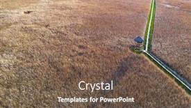  Presentation with wetland - Presentation theme with marshes-and-reeds-wetland background and a tawny brown colored foreground