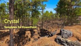  Presentation with volcano - Theme enhanced with pinetree - forest near volcano teide background and a tawny brown colored foreground