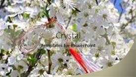  Presentation with martisor - PPT theme with bulgarian folklor - martisor - romanian symbol background and a light gray colored foreground