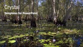  Presentation with water river - Colorful theme enhanced with mary-river-floodplains-with-water backdrop and a tawny brown colored foreground