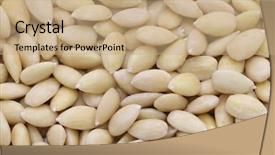  Presentation with water farming almonds - PPT theme consisting of marzipan - blanched almonds background and a coral colored foreground