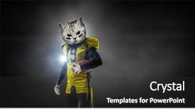 Presentation with cats - Amazing PPT theme having mascots - furious cats team mixed media backdrop and a dark gray colored foreground