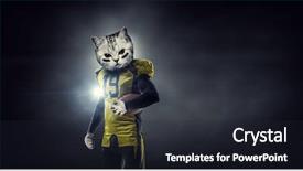  Presentation with cats - Colorful PPT layouts enhanced with mascots - furious cats team mixed media backdrop and a wine colored foreground