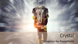  Presentation with elephants - Presentation theme consisting of mascots - furious elephants team mixed media background and a  colored foreground