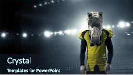  Presentation with team - Presentation with mascots - furious rhinos team mixed media background and a wine colored foreground