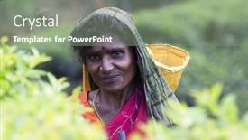  Presentation with tea plantation - Slides with maskeliya-sri-lanka-january-4 background and a seafoam green colored foreground