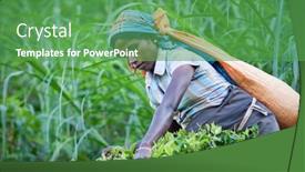  Presentation with tea plantation - Presentation theme consisting of maskeliya-sri-lanka-january-6 background and a ocean colored foreground