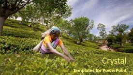 Presentation with tea plantation - Cool new PPT layouts with maskeliya-sri-lanka-january-6 backdrop and a tawny brown colored foreground