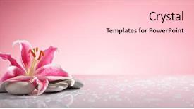  Presentation with lily - Presentation theme enhanced with massage stones on pink background and a lemonade colored foreground