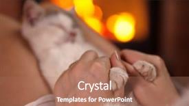  Presentation with paw - Beautiful presentation featuring massaging a little kitten backdrop and a coral colored foreground