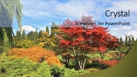  Presentation with landscape architecture - Presentation theme having masterpiece of landscape architecture - sigurta park in northern italy picturesque bush with red flowers background and a light blue colored foreground