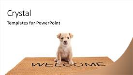  Presentation with puppy - Amazing PPT theme having mat with written text welcome backdrop and a white colored foreground