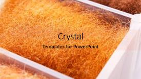  Presentation with fishing - Beautiful PPT theme featuring material for fishing midge backdrop and a gold colored foreground