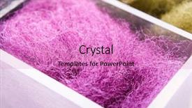  Presentation with fishing - PPT theme with material for fishing midge background and a coral colored foreground