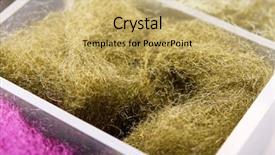  Presentation with fishing - Colorful slides enhanced with material for fishing midge backdrop and a yellow colored foreground