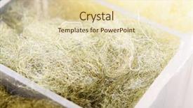  Presentation with fishing - PPT theme consisting of material for fishing midge background and a lemonade colored foreground