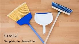  Presentation with view of egret birds - Presentation theme consisting of material handling equipment - overhead view of brooms background and a coral colored foreground