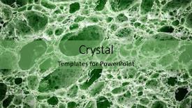  Presentation with material science - Slide set enhanced with material science - biological texture element of design background and a seafoam green colored foreground