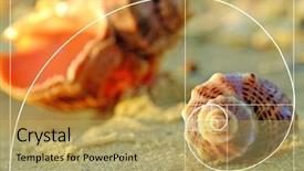  Presentation with golden ratio - Beautiful presentation theme featuring math - beautiful seashells on the beach backdrop and a yellow colored foreground