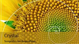  Presentation with mathematics - Colorful PPT layouts enhanced with mathematics - illustration of spiral arrangement backdrop and a gold colored foreground
