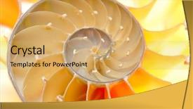  Presentation with c section - Colorful theme enhanced with mathematics background - nautilus shell section backdrop and a coral colored foreground