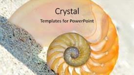  Presentation with shell - Theme with couples dining in fancy restaurant background and a  colored foreground.