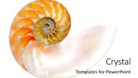  Presentation with brown sugar isolated on white - Presentation consisting of mathematics symmetry - nautilus shell isolated on white background and a cream colored foreground