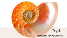  Presentation with shell gasoline - Beautiful presentation theme featuring mathematics symmetry - nautilus shell section isolated backdrop and a coral colored foreground