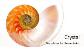  Presentation with pedestrian safety in cross section - Audience pleasing theme consisting of mathematics symmetry - nautilus shell section backdrop and a sky blue colored foreground