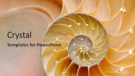  Presentation with shell - Colorful theme enhanced with mathematics symmetry - nautilus shell section backdrop and a coral colored foreground