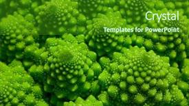  Presentation with cabbage - Presentation design enhanced with mathematics symmetry - romanesco broccoli cabbage marco nature background and a forest green colored foreground