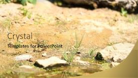  Presentation with frogs - Audience pleasing PPT theme consisting of mating-green-frogs-near-water backdrop and a yellow colored foreground