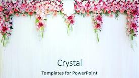  Presentation with matrimony - Colorful presentation theme enhanced with homemade pumpkin financier cake with cinnamon and cardamom autumn spiced cakes a rustic style selective focus backdrop and a tawny brown colored foreground