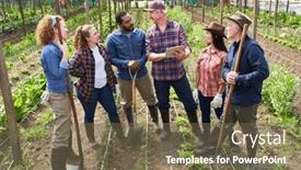  Presentation with agronomist - PPT theme with mature-agronomist-explaining-multicultural-male background and a tawny brown colored foreground