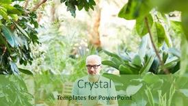  Presentation with home garden - PPT theme having mature-businessman-in-blue-shirt background and a seafoam green colored foreground