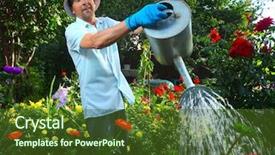  Presentation with gold man smile - Slide deck consisting of mature caucasian smiling man watering background and a tawny brown colored foreground