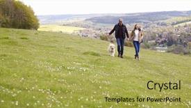 Presentation with golden - Audience pleasing theme consisting of taking golden retriever for walk backdrop and a yellow colored foreground